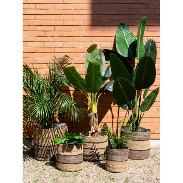 Cache-pots en jonc naturel et brun - AUBRY GASPARD