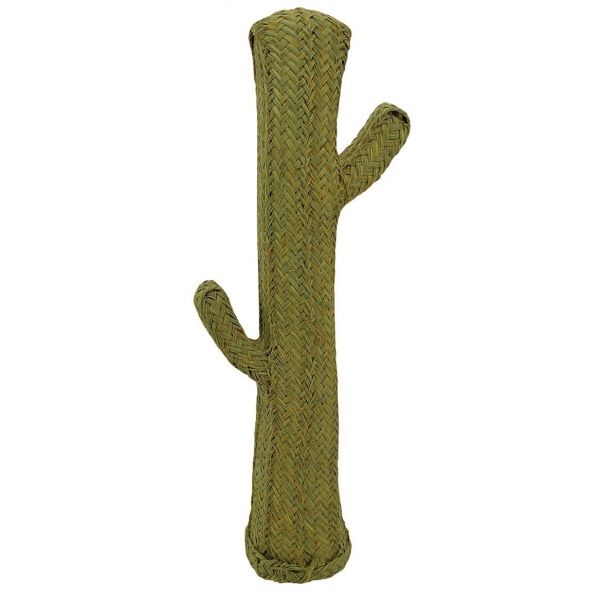 Cactus en alpha