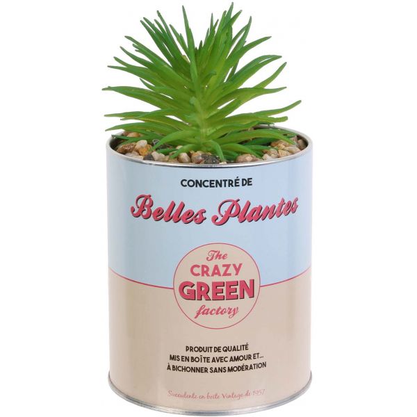 Cactus artificiels dans pots ronds en métal fantaisies (Lot de 4) - 19,12