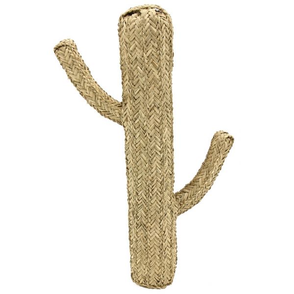 Cactus en jonc naturel