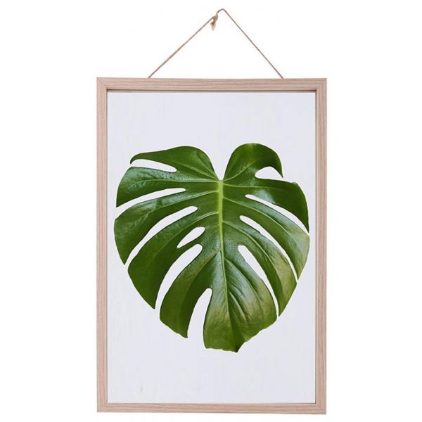 Cadre bois et verre pour feuille XL - 9,90