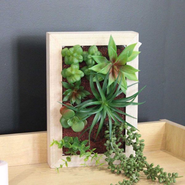 Cadre mural avec plante succulente artificielle 20 x 30 cm - 7