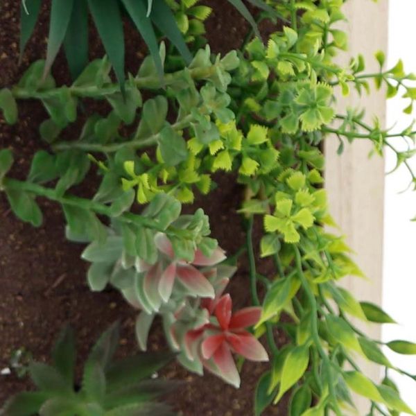 Cadre mural avec plante succulente artificielle 20 x 30 cm - 24,90