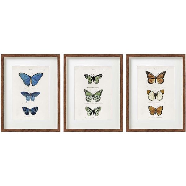 Cadre papillons colorés 30 x 40 cm (Lot de 3)
