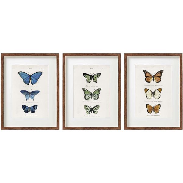 Cadre papillons colorés 30 x 40 cm (Lot de 3)