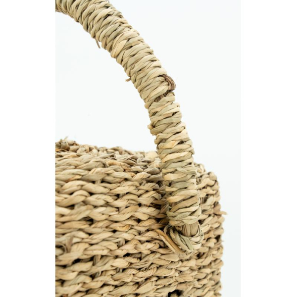 Cale porte  en Jacinthe - 11,90