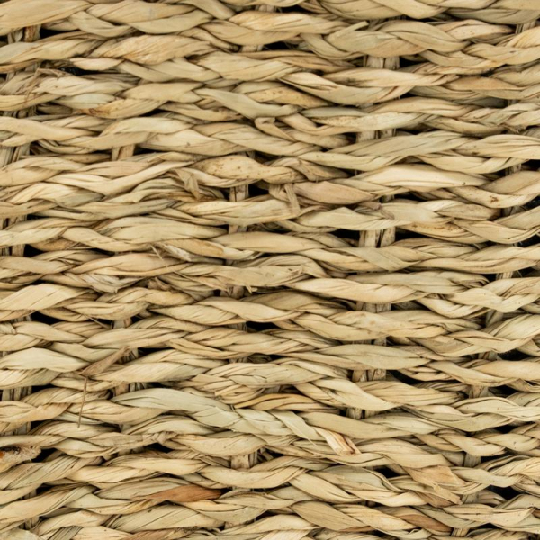 Cale porte  en Jacinthe - AUB-7348