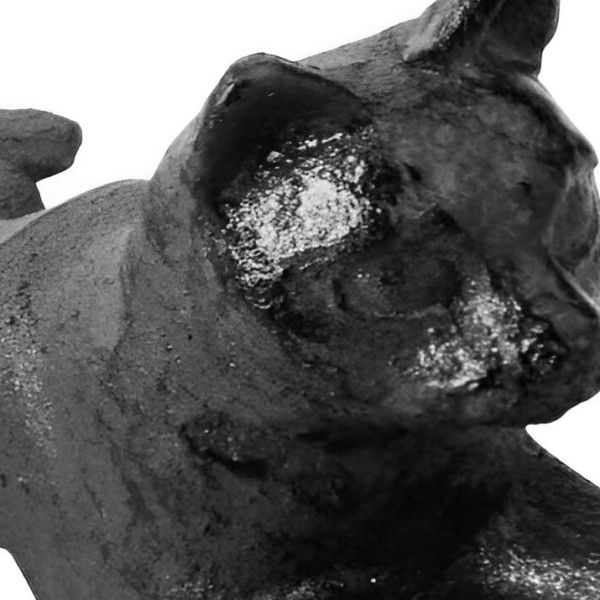 Cale porte chat en fonte - BEST FOR BOOTS