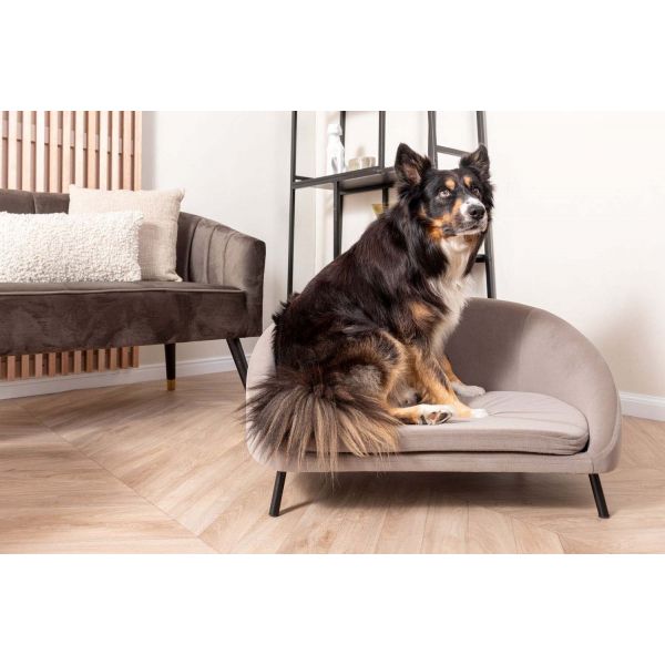 Canapé pour animaux en velours Venue - LEITMOTIV