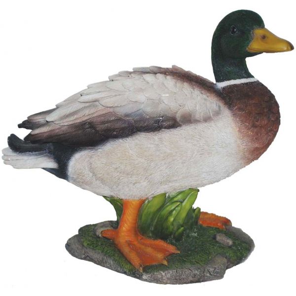 Canard colvert en résine 29 cm