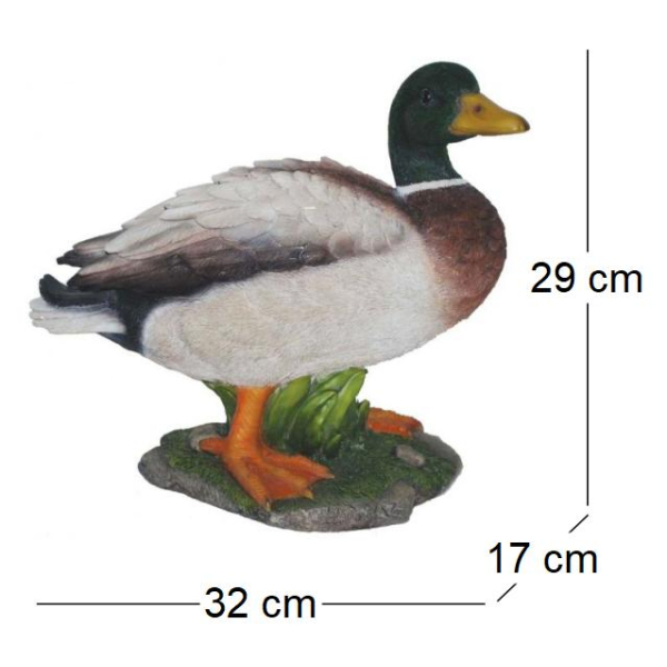 Canard colvert sur roche en résine - VID-0125