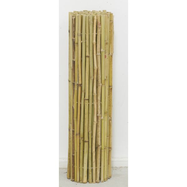 Canisse en bambou - 49,90