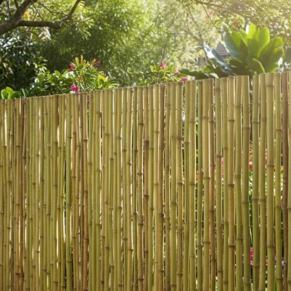 Canisse en bambou - AUBRY GASPARD