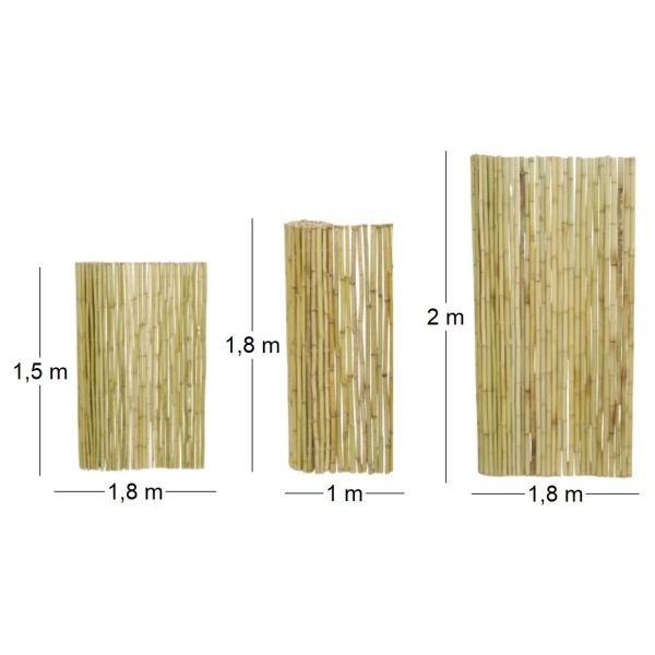 Canisse en bambou - AUB-5578