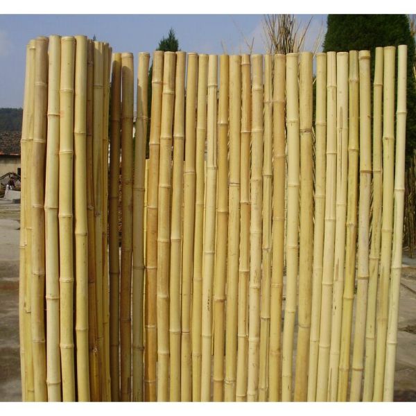 Canisse en bambou rond - 