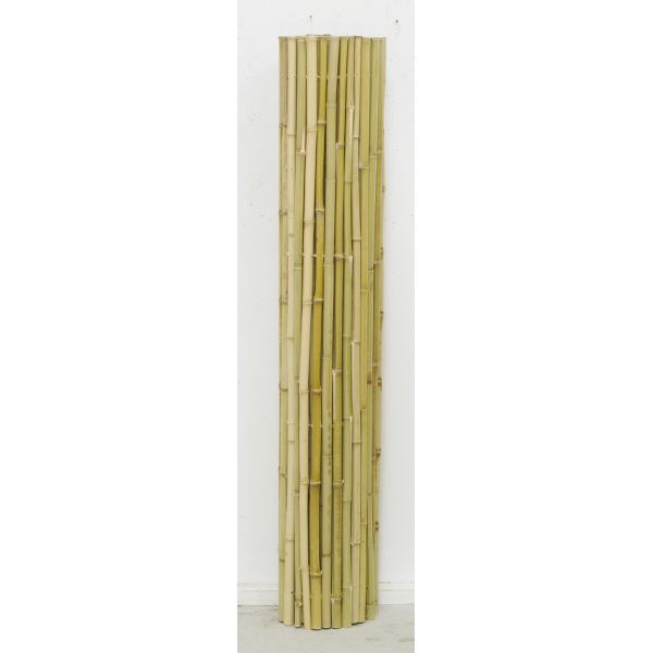 Canisse en bambou - 74,90