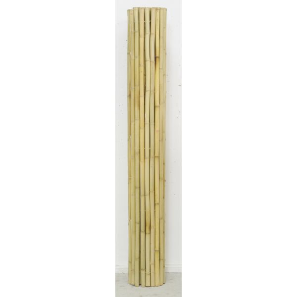 Canisse en bambou - 79,90