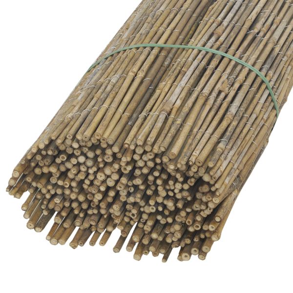 Canisse en petit bambou