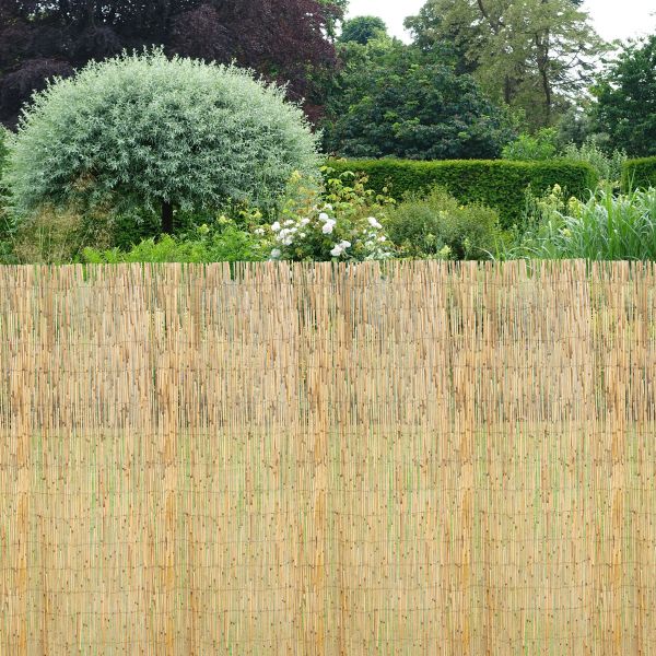 Rouleau de 2x5 m Canisse en tige de roseaux naturel - Nature