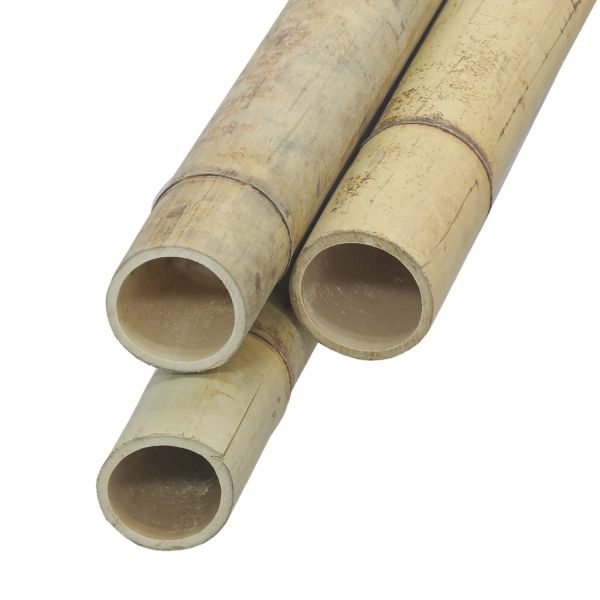 Canne en bambou (à l'unité) - 14,90
