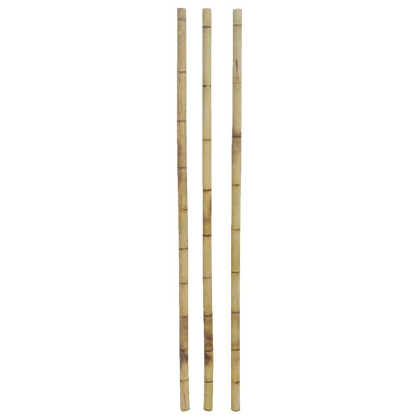 Canne en bambou (à l'unité) - AUB-5525