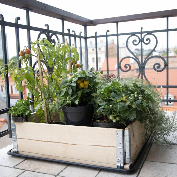 Carré potager Gardenbox 120 x 80 cm - 5