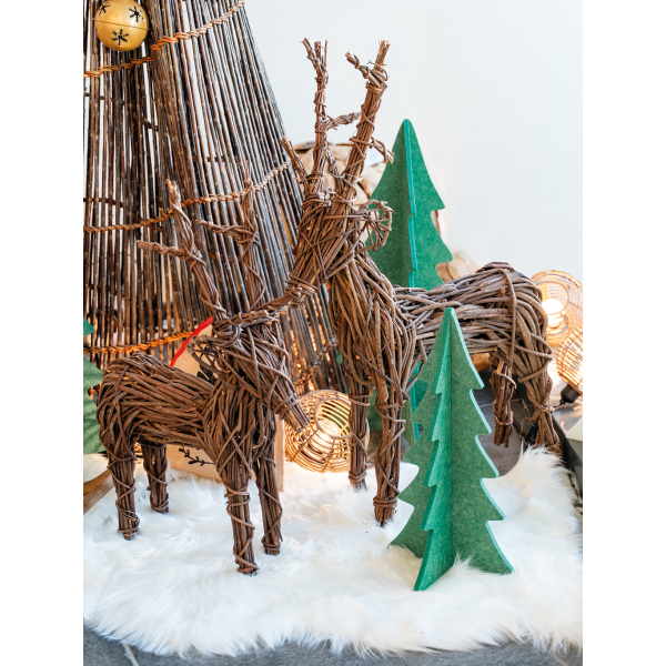 Cerf sur pied - AUBRY GASPARD