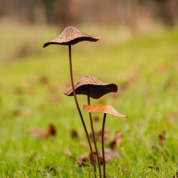 Champignon sur pic en métal rouillé - ESSCHERT DESIGN