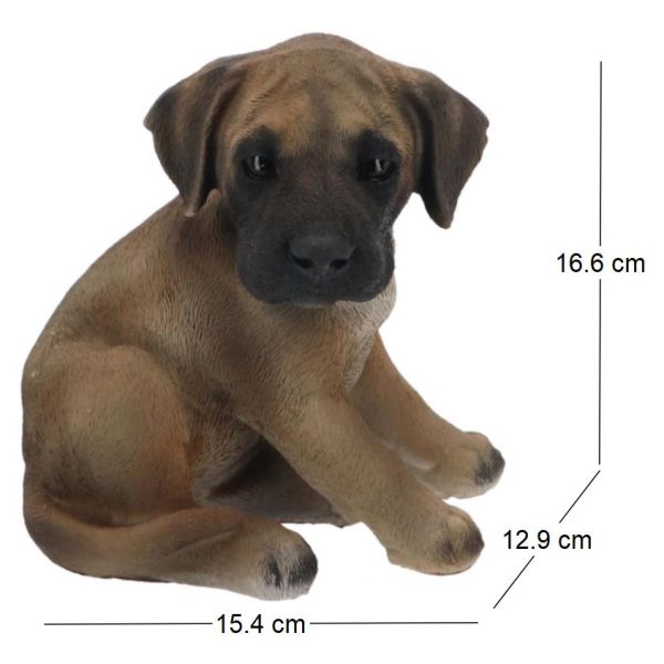 Chiot dogue allemand assis en résine - 9