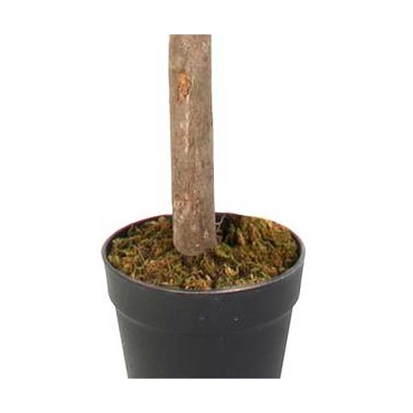 Citronnier artificiel en pot 120 cm - 59,90