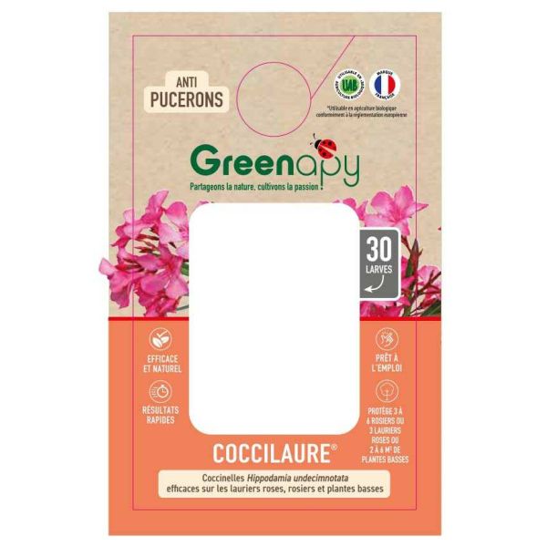 Coccilaure anti-pucerons des lauriers roses et plantes basses
