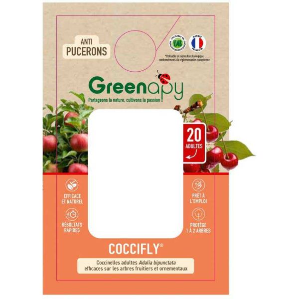 Coccinnelles anti-pucerons Coccifly (boîte de 20 adultes)