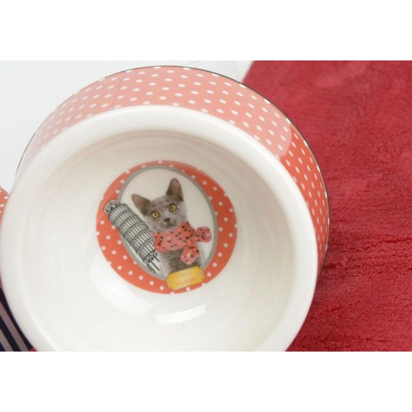 Coffret cadeau chat - AMADEUS