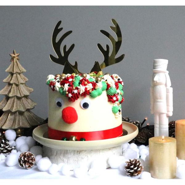 Coffret décoration de gâteau renne - LILY COOK