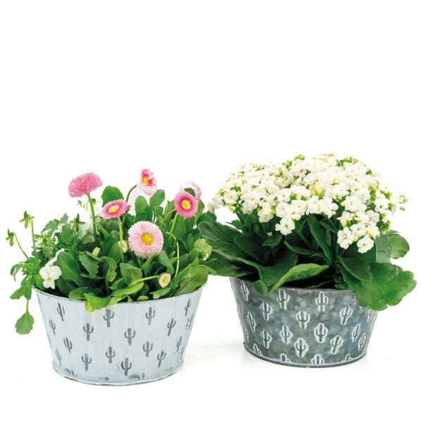 Corbeille cactus métal patiné - AUBRY GASPARD