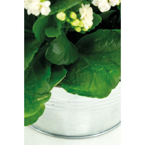 Corbeille en zinc anses en bois - AUB-6295