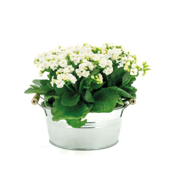 Corbeille en zinc anses en bois - AUBRY GASPARD
