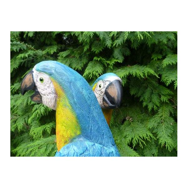 Couple de perroquets en résine - TEX-0111