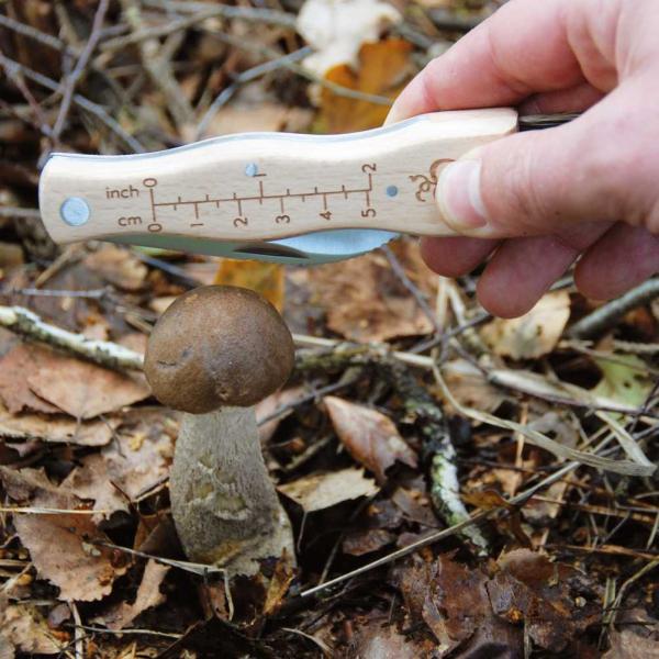 Couteau à champignons en acier inoxydable avec brosse - 7