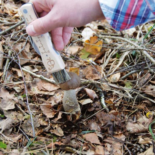 Couteau à champignons en acier inoxydable avec brosse - 8