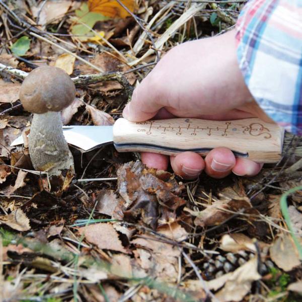 Couteau à champignons en acier inoxydable avec brosse - GARDEN TOOLS