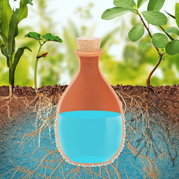Diffuseur d'eau autonome Olla - WATER IN THE GARDEN