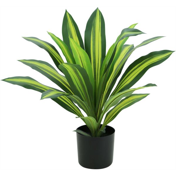 Dracena artificiel 22 feuilles hauteur 50 cm