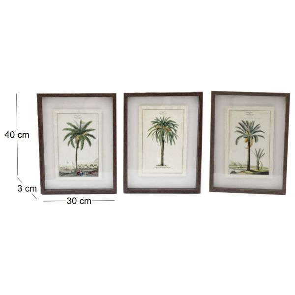 Ensemble de 3 cadres 30 x 40 cm Palmiers - SIL