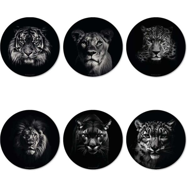 Ensemble sets de table en vinyle 38 cm et dessous de verre King & Queen - 8