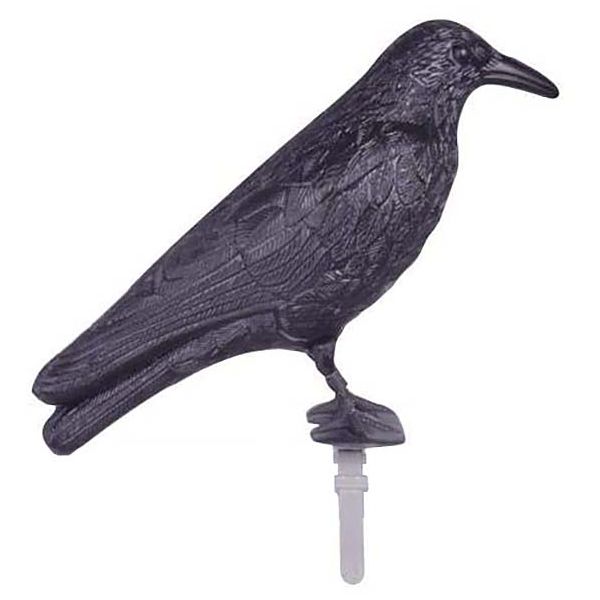 Corbeau de jardin anti-pigeon, lot de 2, décoration épouvantail oiseaux  pigeon alarmistes jardin figure noir