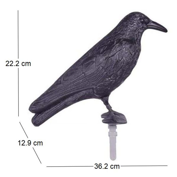 Epouvantail corbeau pour éloigner les pigeons - 6