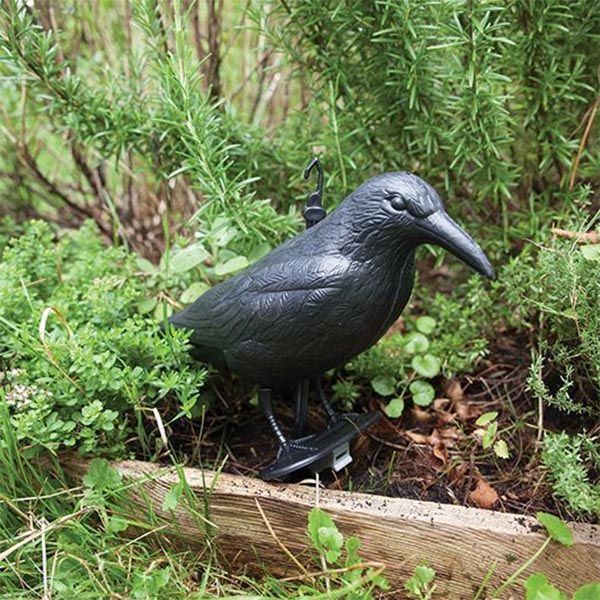 Corbeau de jardin anti-pigeon décoration épouvantail oiseaux pigeon  alarmistes jardin figure noir tout neuf - Cdiscount Jardin