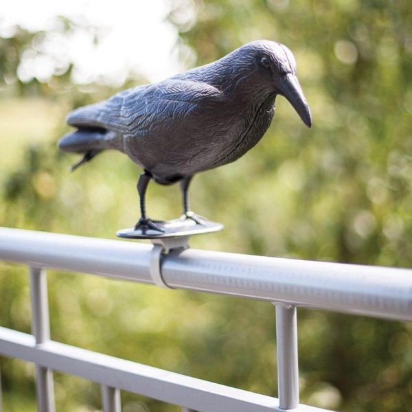 Bande Épouvantail Répulsive Anti Pigeon Anti Corbeau Effraie Éloigne Les  Oiseaux