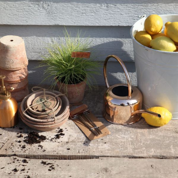 Etiquettes à plantes en cuivre (Lot de 6) - 7